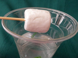Wet marshmallow held by skewer on edge of plastic cup of water, drops of water dripping off.