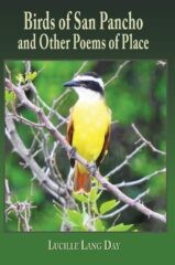Cover for Birds of San Pancho, with a golden-breasted bird perched on a twig, with blurred greenery in the background.